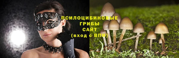 эйфоретик Абинск