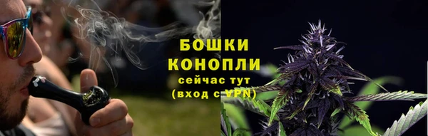 первитин Новозыбков
