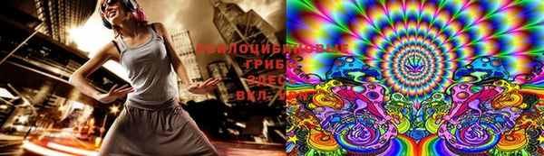 первитин Новозыбков