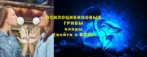 первитин Новозыбков