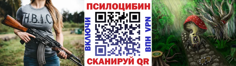 omg как войти Сясьстрой Псилоцибиновые грибы мицелий