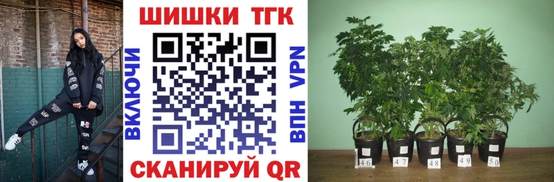 Конопля OG Kush  KRAKEN маркетплейс  Сясьстрой 
